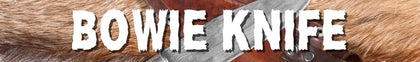 Bowie Knife for Sale