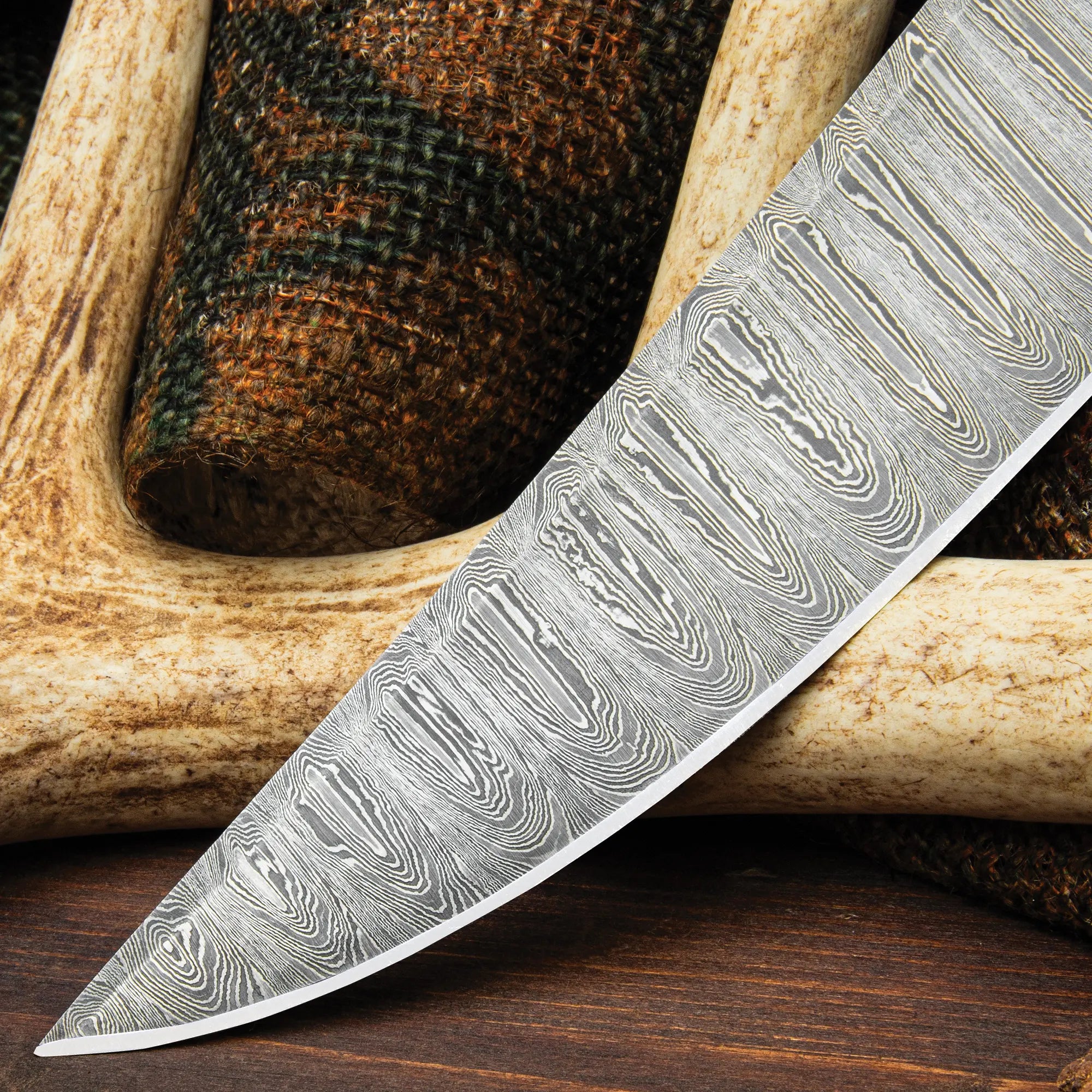 Timber Wolf Deer Hunter Bowie Knife 5