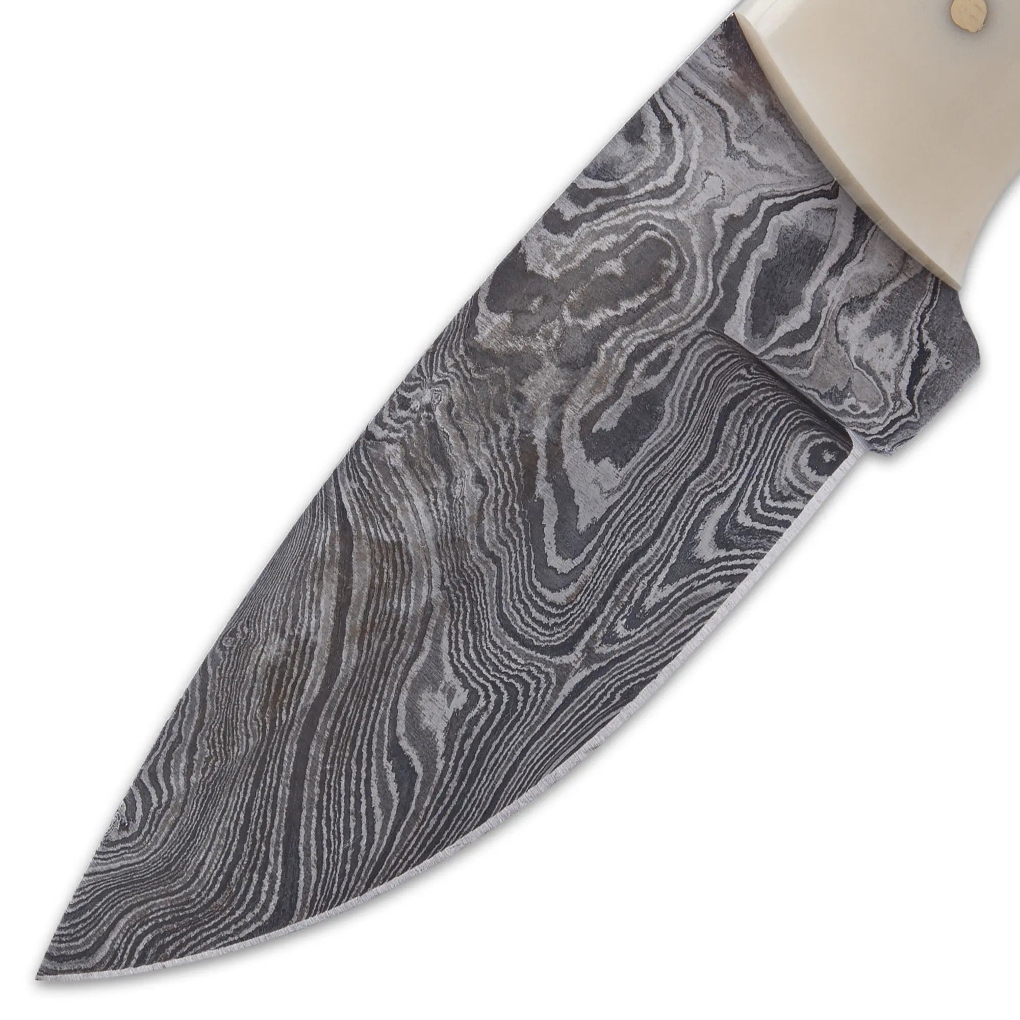 Timber Rattler Terra Branca Knife 3