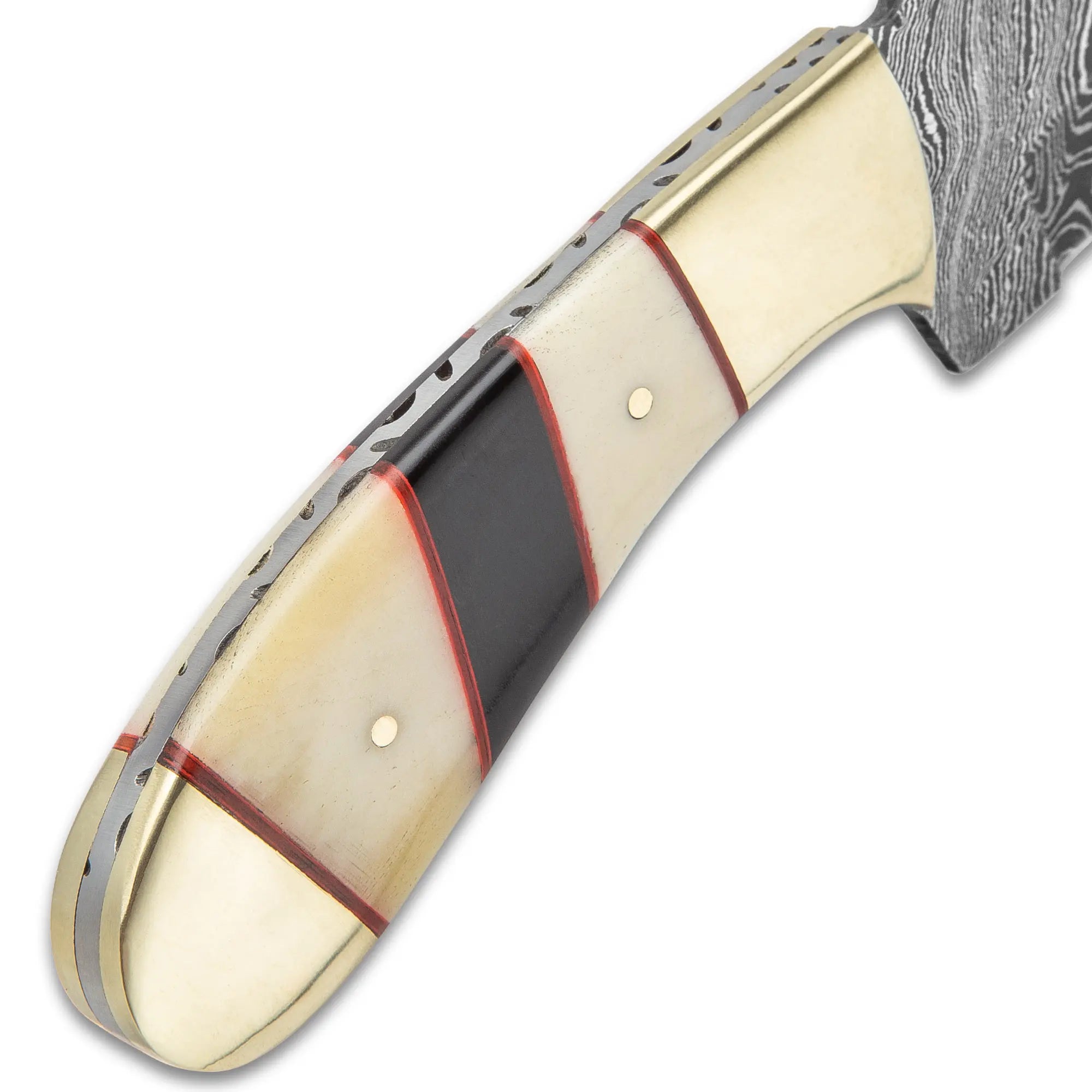 Timber Wolf Legion Knife 4