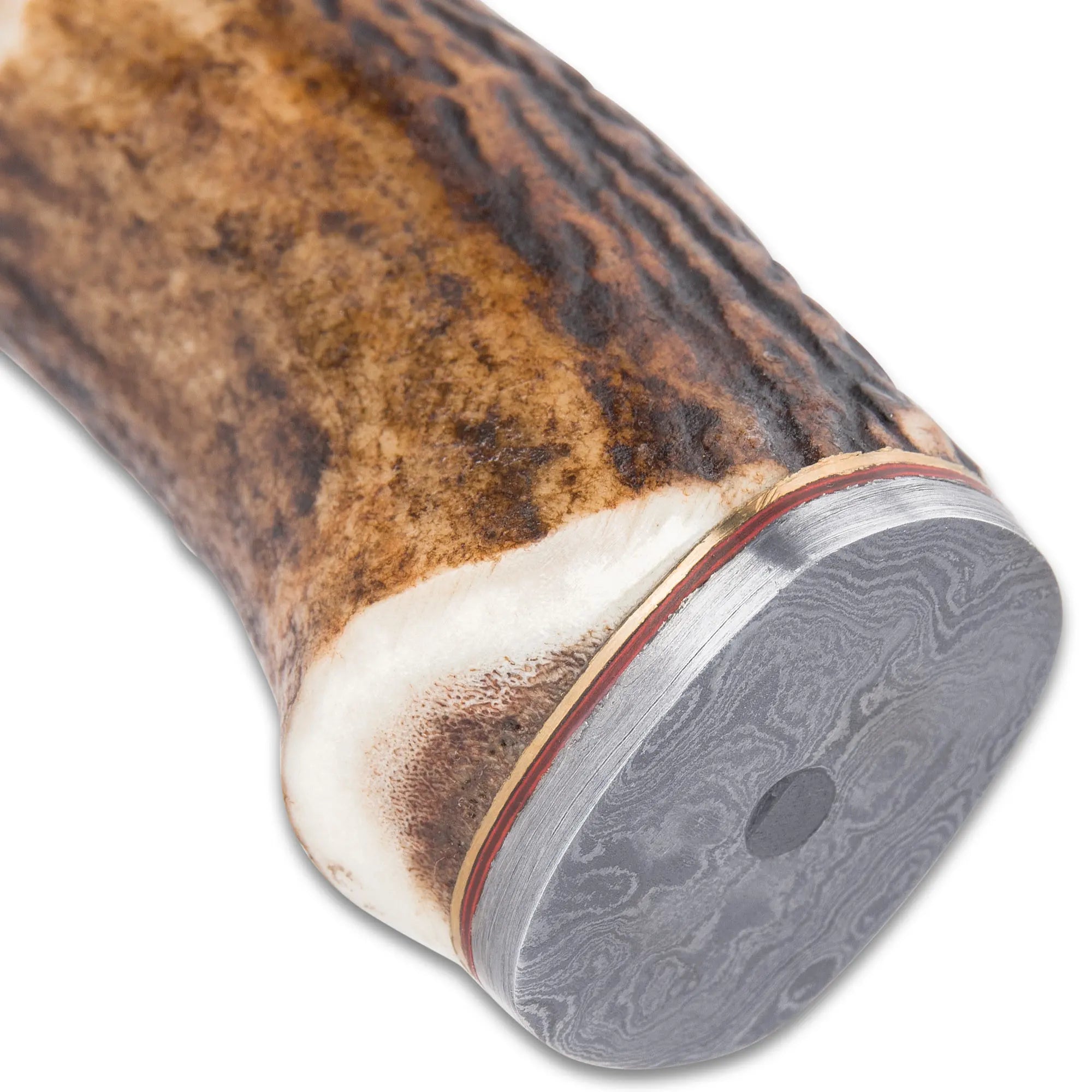 Timber Wolf Whitetail Ridge Skinning Knife 3