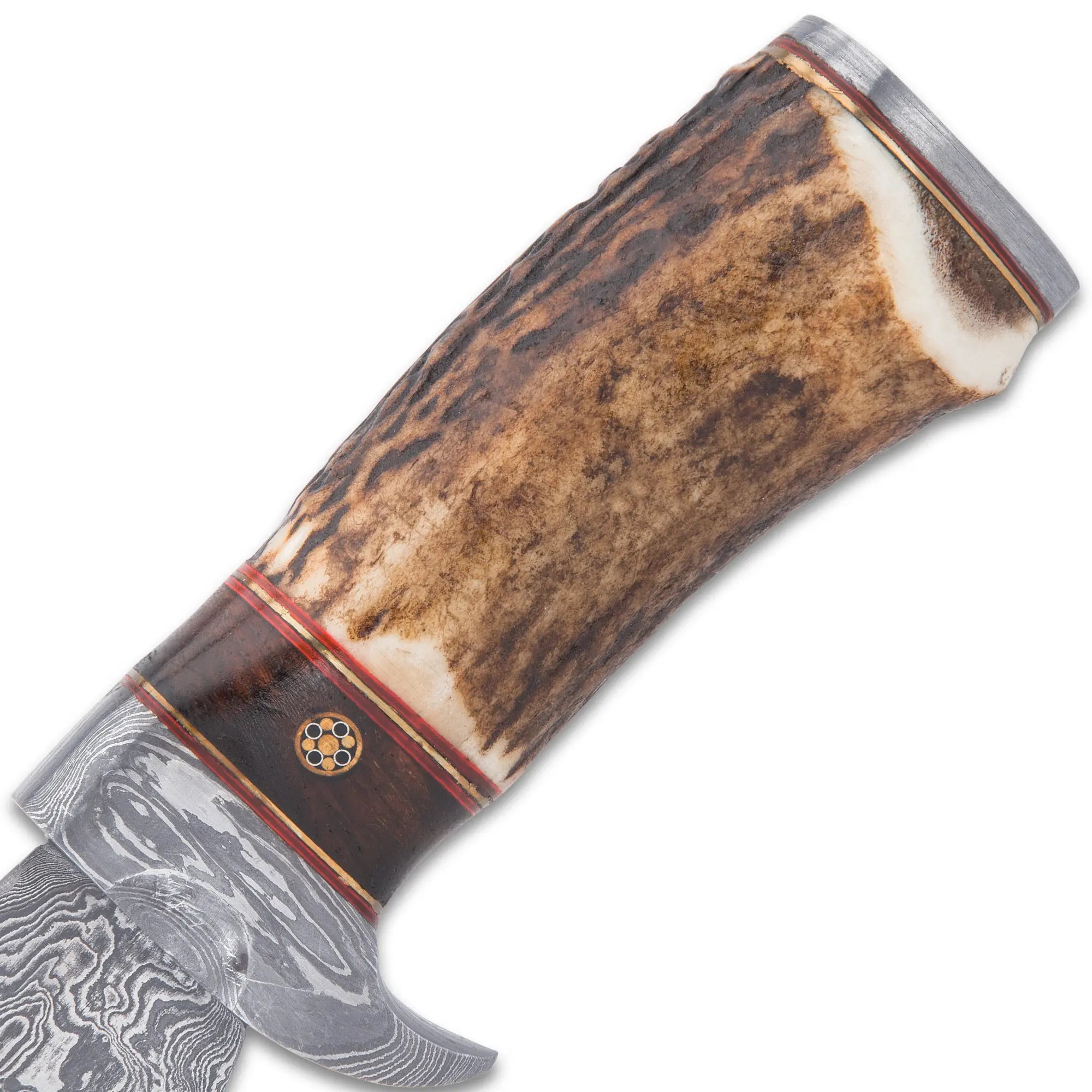 Timber Wolf Whitetail Ridge Skinning Knife 4