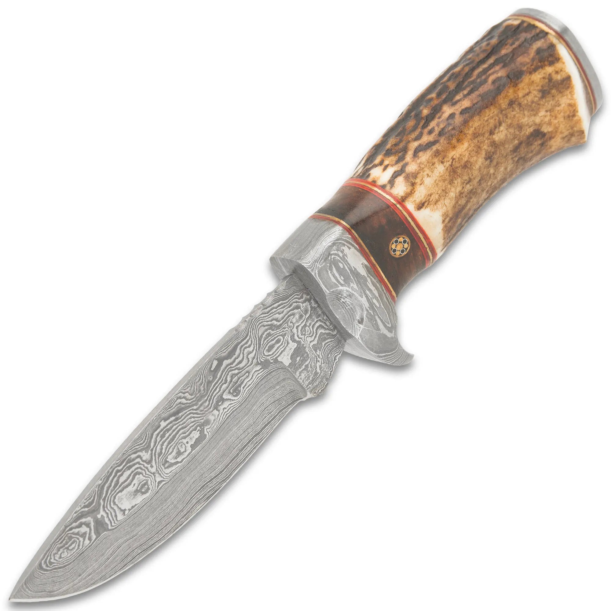 Timber Wolf Whitetail Ridge Skinning Knife 5