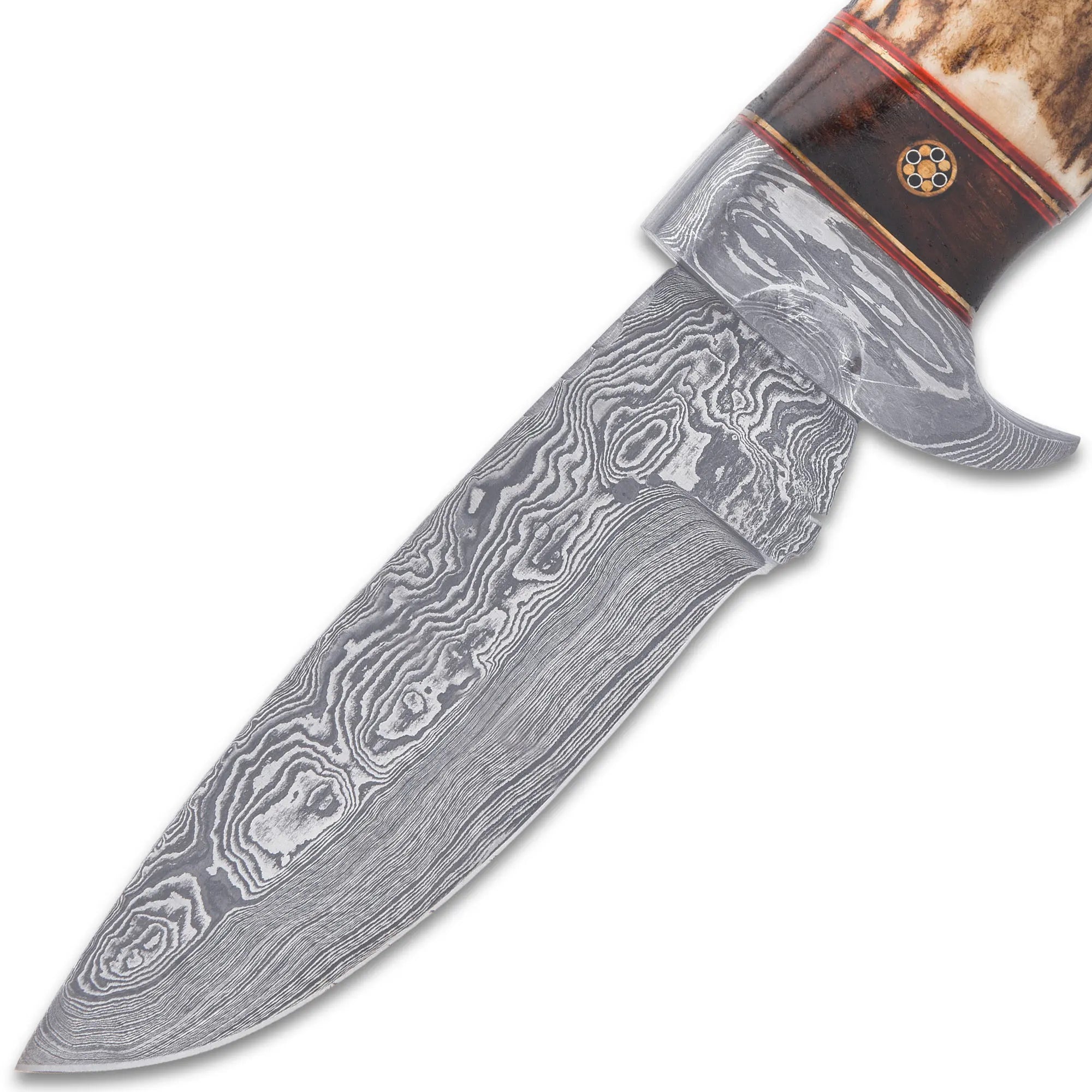 Timber Wolf Whitetail Ridge Skinning Knife 7