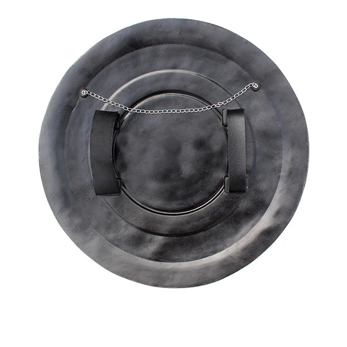 Wonder Woman's Shield (Resin) 1