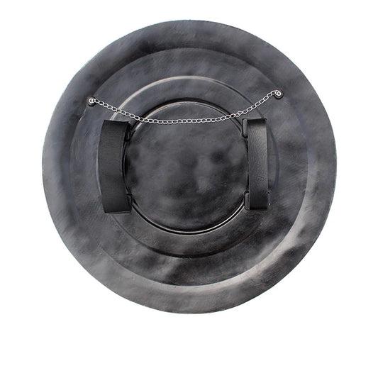 Wonder Woman's Shield (Resin) 1