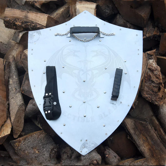 Link Hylian Shield From Zelda