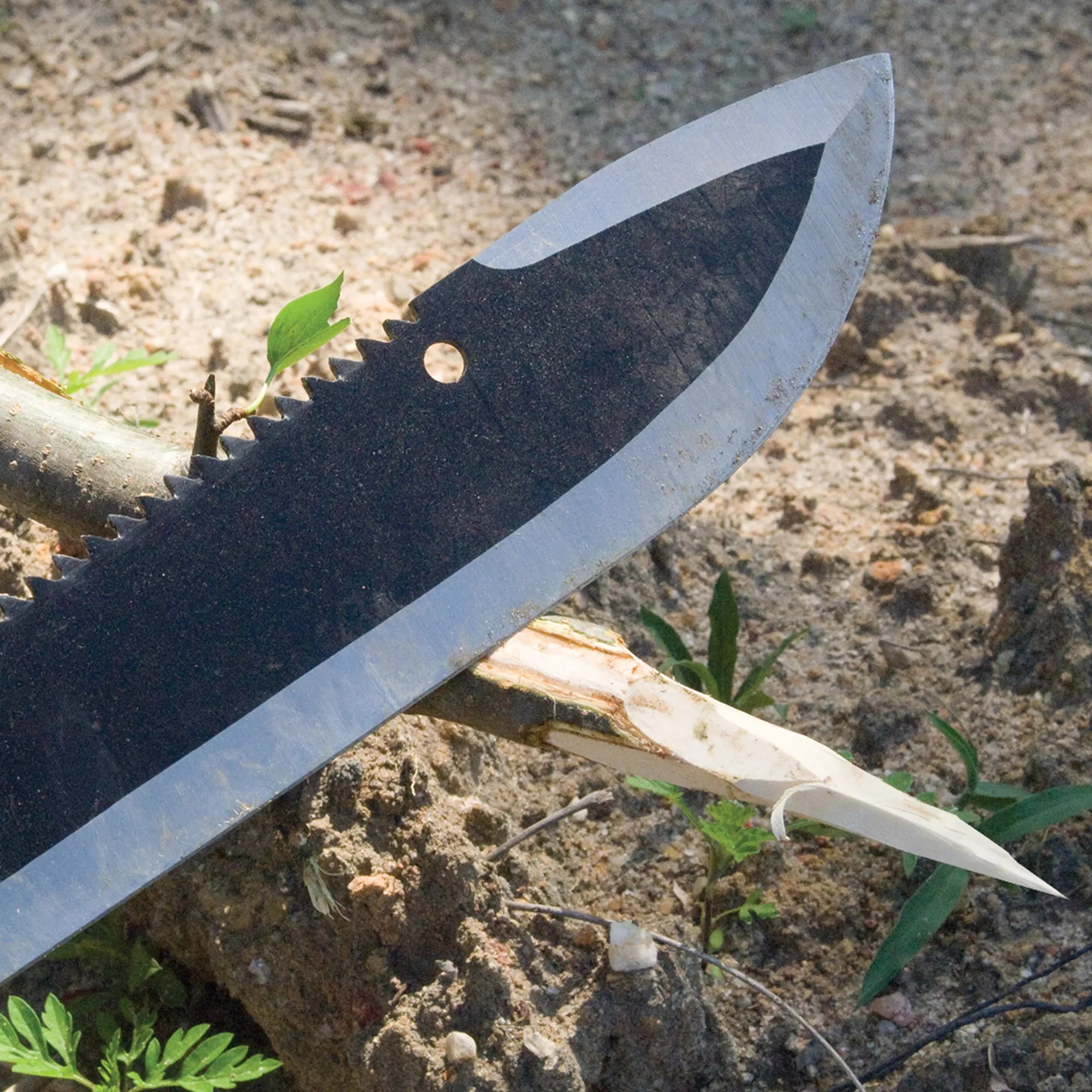 Colombian Survival Sawback Machete 3