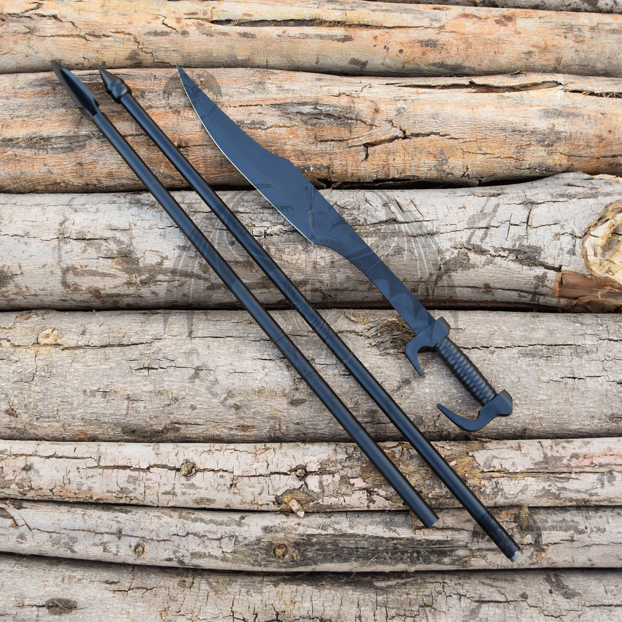 Set of Spartan King Leonidas Sword and Spear 1