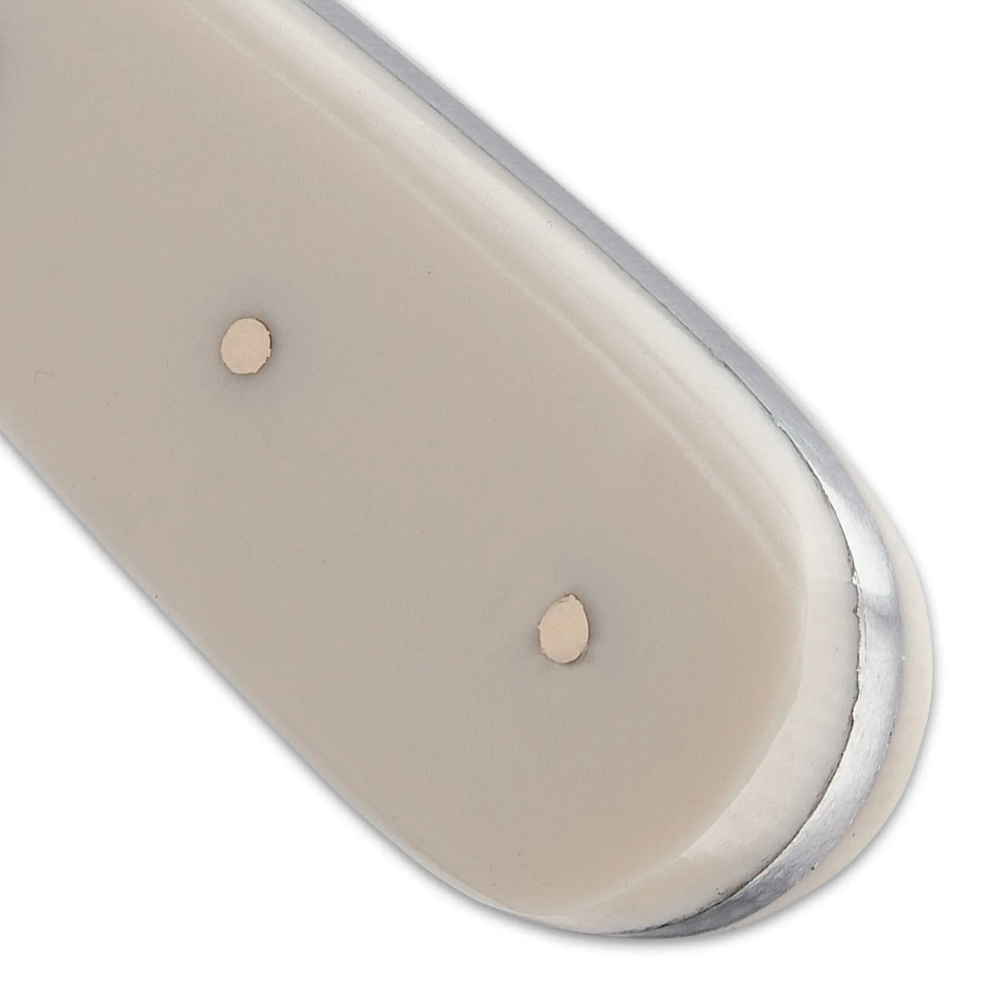 Timber Rattler Terra Branca Knife 2